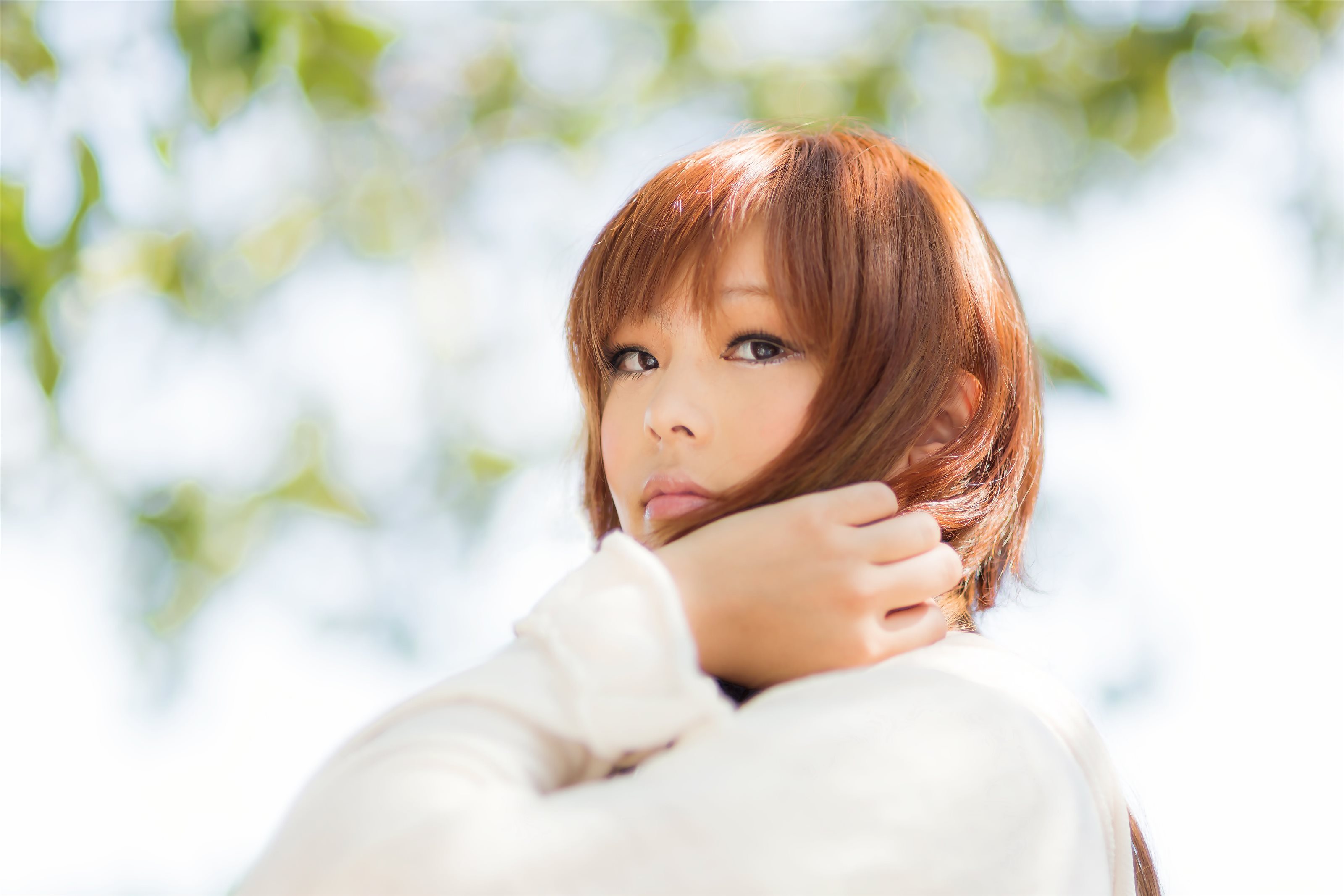 ２０２６年１月２８日