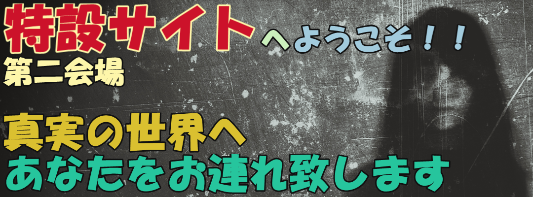 真・麻布警察２４時パート２