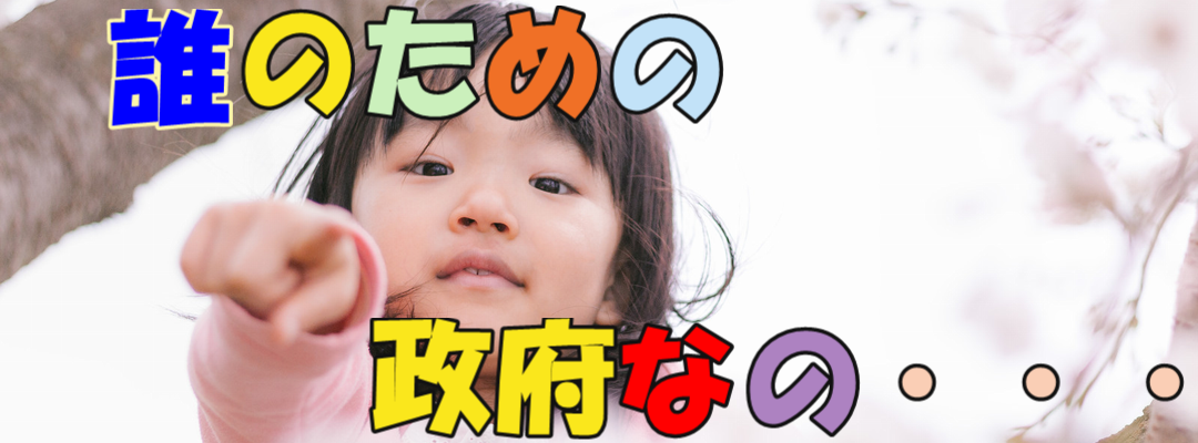 あなたは見た！国会の実録１